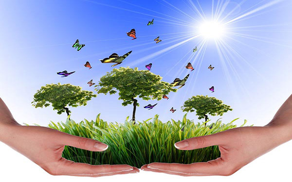 皮革污泥干燥設(shè)備優(yōu)勢(shì)有哪些 皮革污泥干燥設(shè)備優(yōu)勢(shì)有哪些